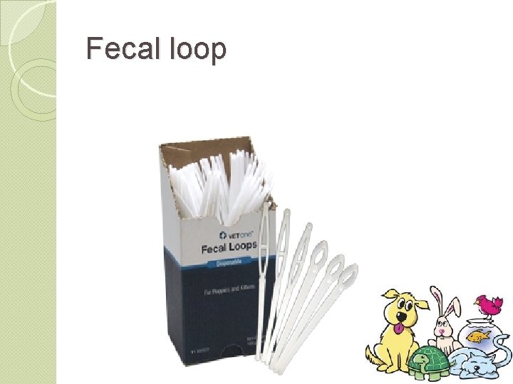 Fecal loop 