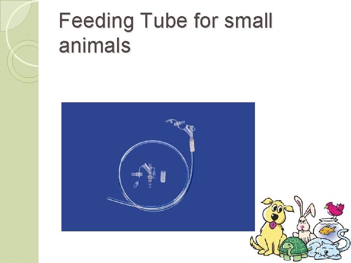 Feeding Tube for small animals 