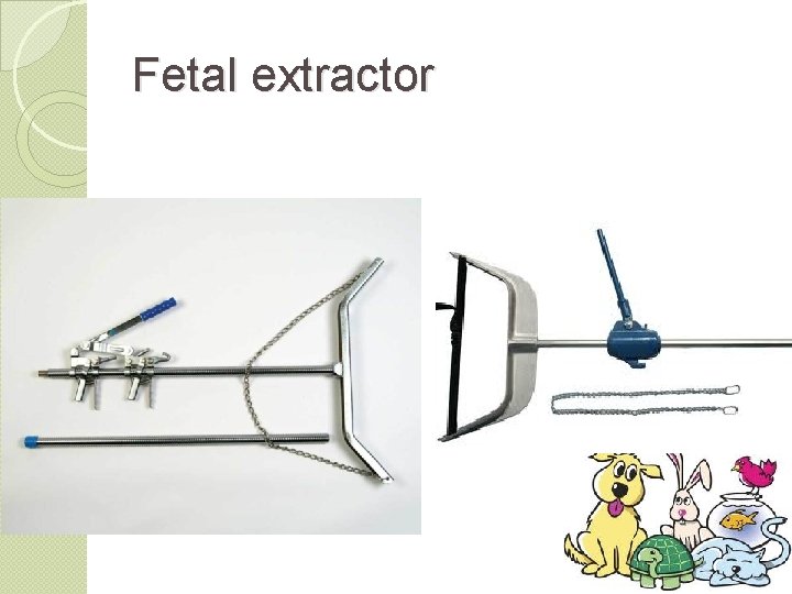 Fetal extractor 