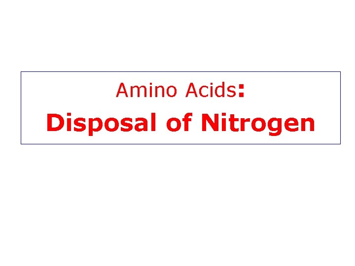 Amino Acids: Disposal of Nitrogen 