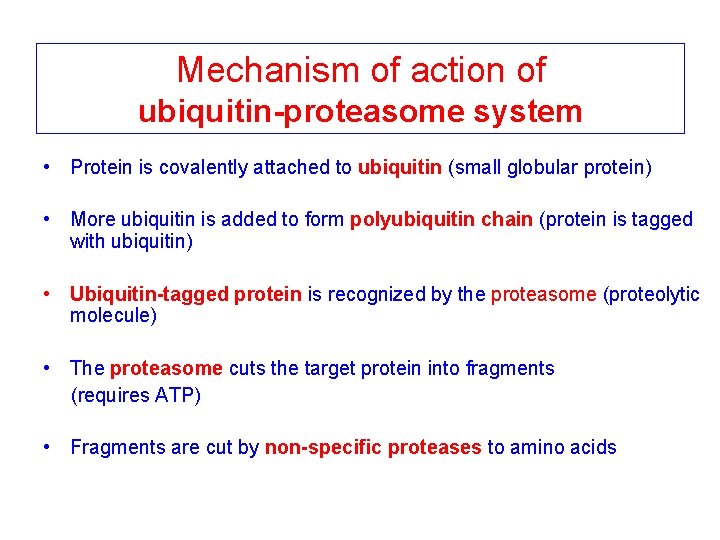 Mechanism of action of ubiquitin-proteasome system • Protein is covalently attached to ubiquitin (small