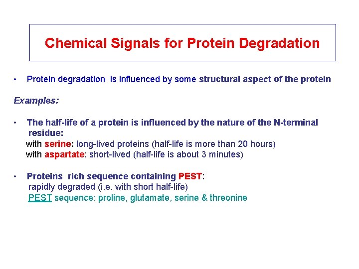 Chemical Signals for Protein Degradation • Protein degradation is influenced by some structural aspect