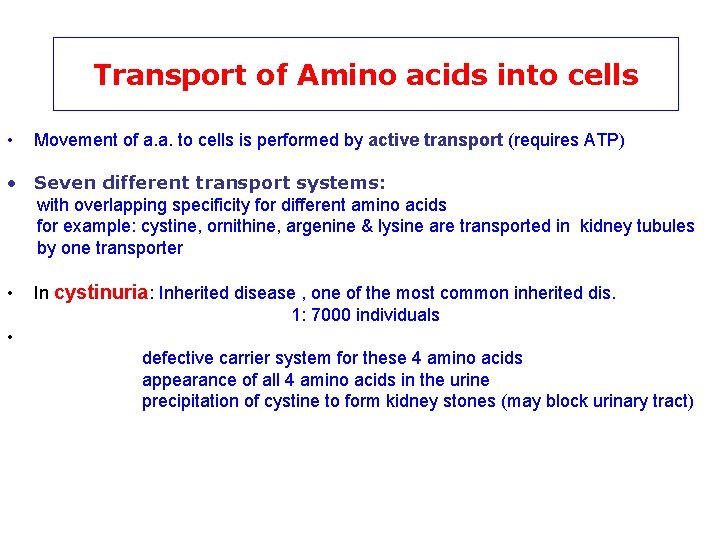 Transport of Amino acids into cells • Movement of a. a. to cells is