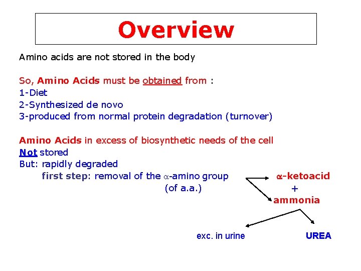 Overview Amino acids are not stored in the body So, Amino Acids must be
