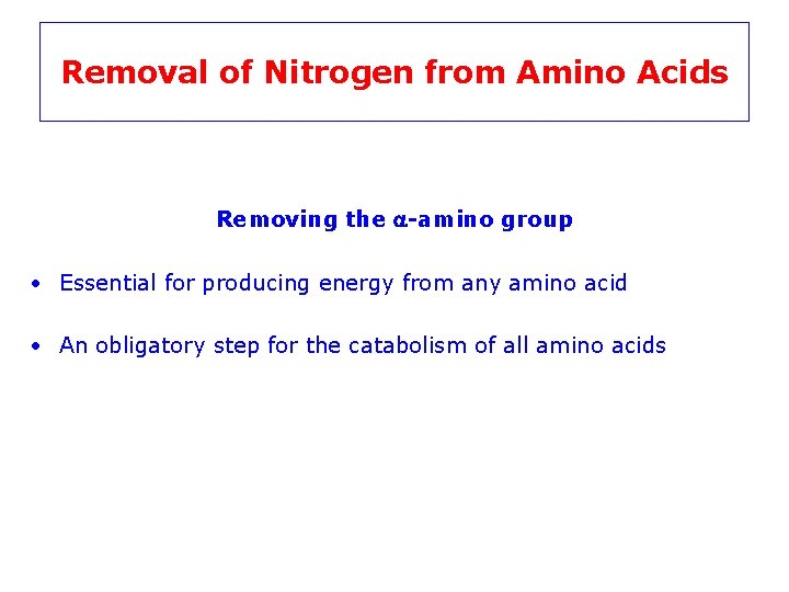 Removal of Nitrogen from Amino Acids Removing the a-amino group • Essential for producing