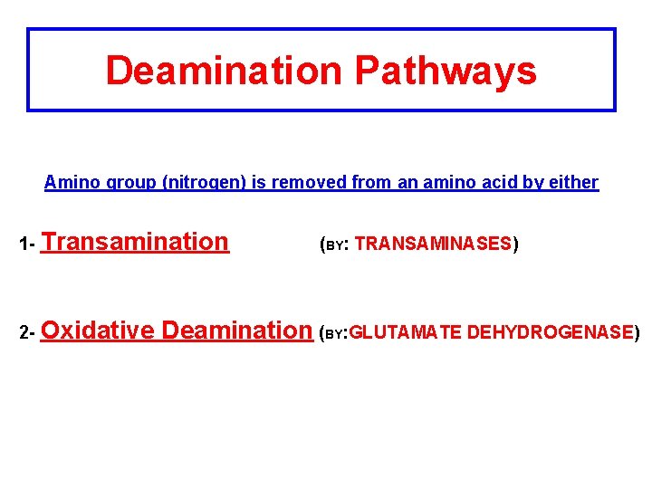 Deamination Pathways Amino group (nitrogen) is removed from an amino acid by either 1