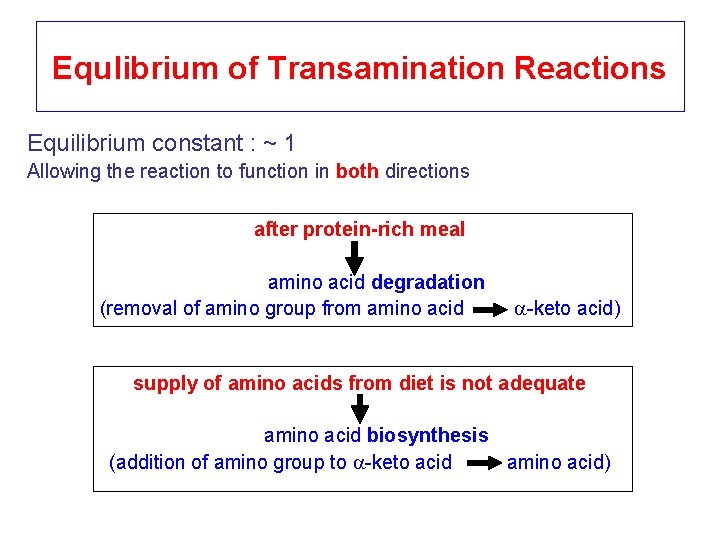 Equlibrium of Transamination Reactions Equilibrium constant : ~ 1 Allowing the reaction to function