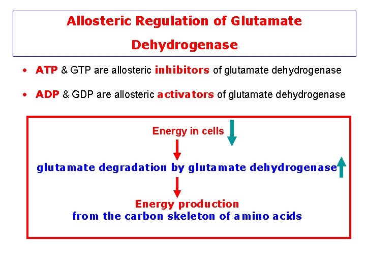 Allosteric Regulation of Glutamate Dehydrogenase • ATP & GTP are allosteric inhibitors of glutamate
