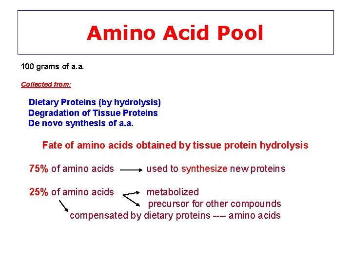 Amino Acid Pool 100 grams of a. a. Collected from: Dietary Proteins (by hydrolysis)