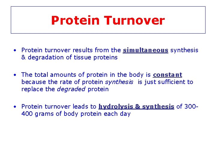 Protein Turnover • Protein turnover results from the simultaneous synthesis & degradation of tissue