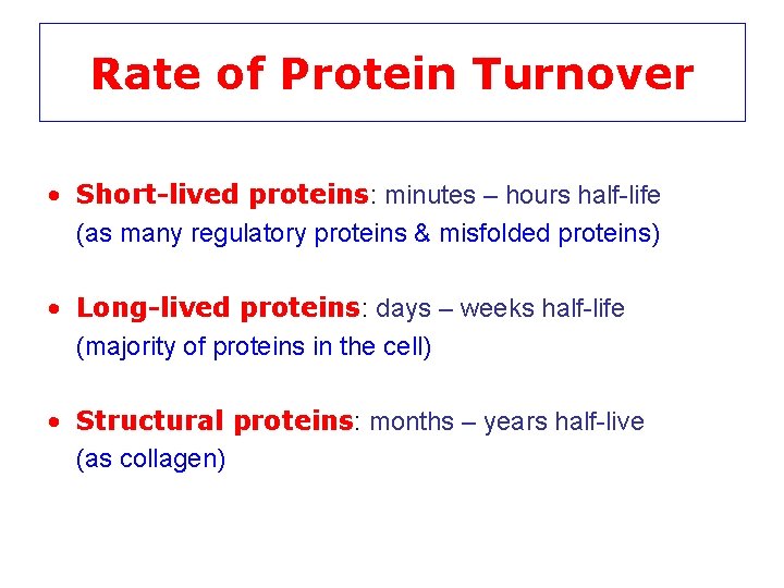 Rate of Protein Turnover • Short-lived proteins: minutes – hours half-life (as many regulatory