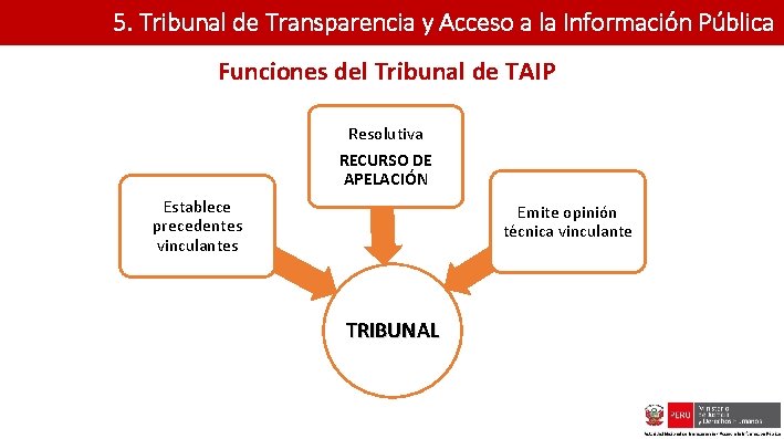 5. Tribunal de Transparencia y Acceso a la Información Pública Funciones del Tribunal de