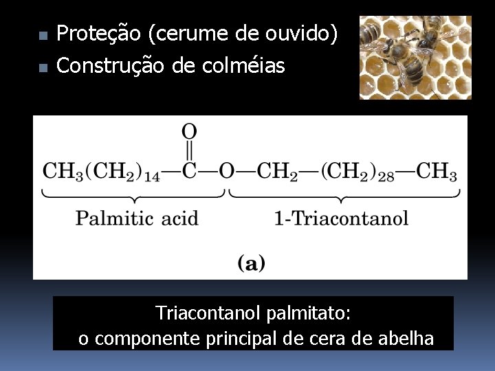 n n Proteção (cerume de ouvido) Construção de colméias Triacontanol palmitato: o componente principal