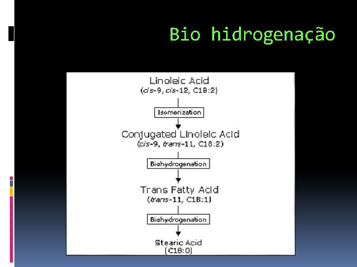Bio hidrogenação 