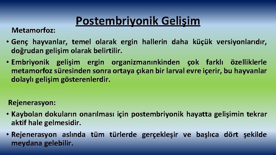 Postembriyonik Gelişim Metamorfoz: • Genç hayvanlar, temel olarak ergin hallerin daha küçük versiyonlarıdır, doğrudan