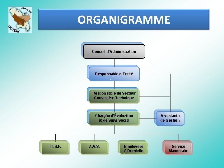 ORGANIGRAMME Conseil d’Administration Responsable d’Entité Responsable de Secteur Conseillère Technique Chargée d’Évaluation et de