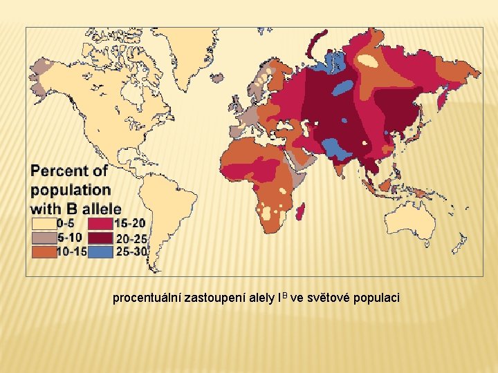  procentuální zastoupení alely IB ve světové populaci 