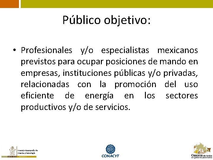 Público objetivo: • Profesionales y/o especialistas mexicanos previstos para ocupar posiciones de mando en