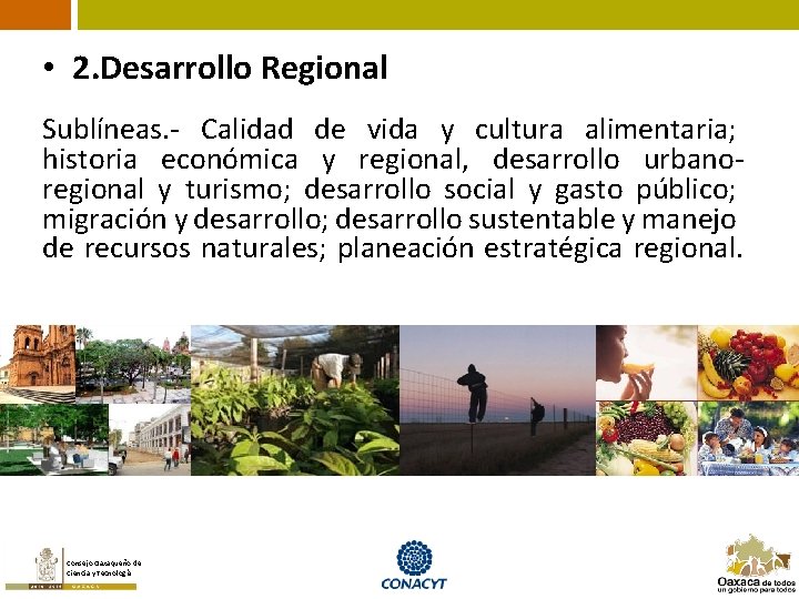  • 2. Desarrollo Regional Sublíneas. - Calidad de vida y cultura alimentaria; historia