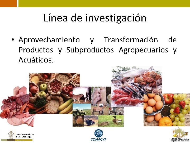 Línea de investigación • Aprovechamiento y Transformación de Productos y Subproductos Agropecuarios y Acuáticos.