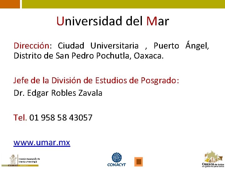 Universidad del Mar Dirección: Ciudad Universitaria , Puerto Ángel, Distrito de San Pedro Pochutla,