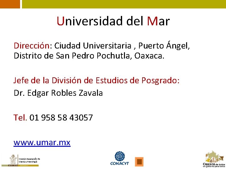 Universidad del Mar Dirección: Ciudad Universitaria , Puerto Ángel, Distrito de San Pedro Pochutla,