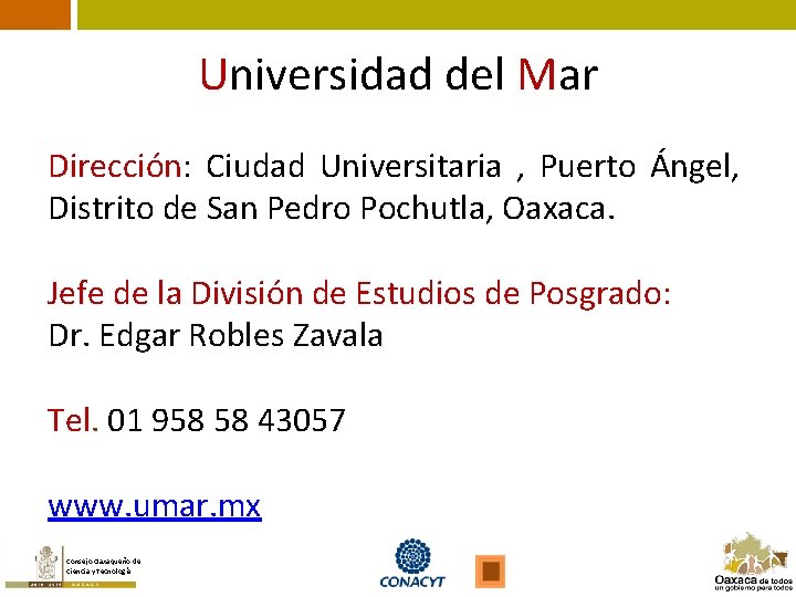 Universidad del Mar Dirección: Ciudad Universitaria , Puerto Ángel, Distrito de San Pedro Pochutla,