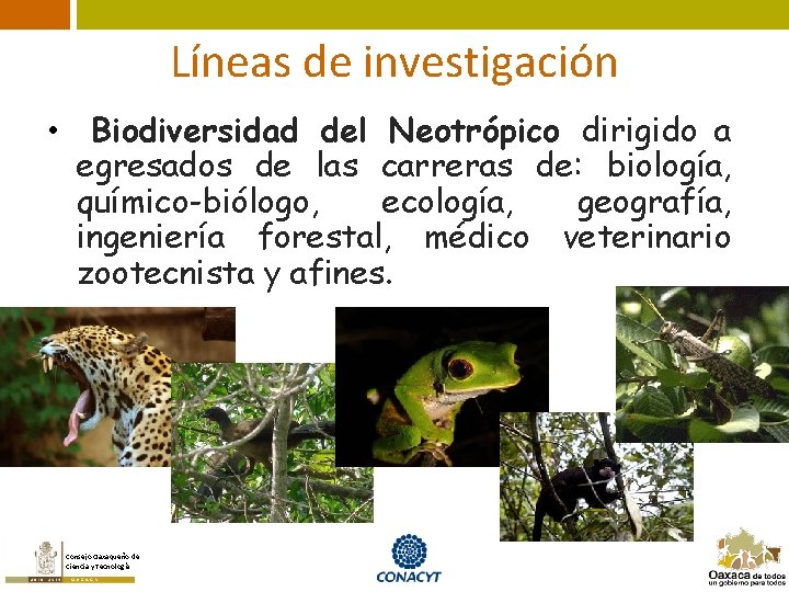 Líneas de investigación • Biodiversidad del Neotrópico dirigido a egresados de las carreras de: