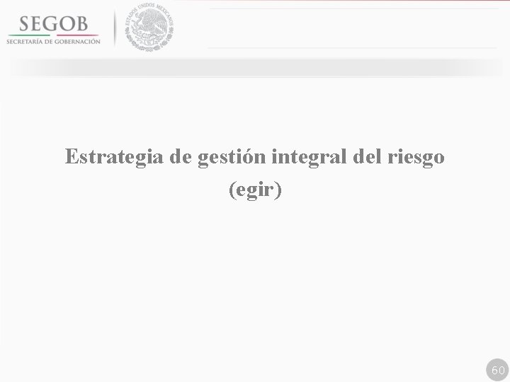 Estrategia de gestión integral del riesgo (egir) 60 