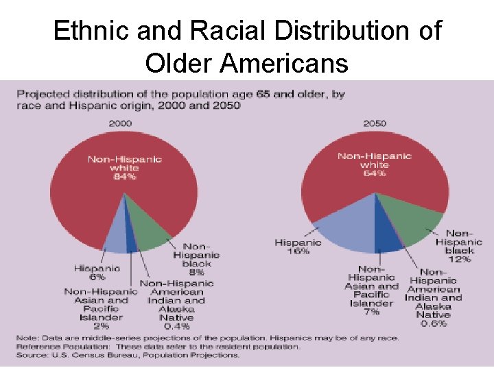 Ethnic and Racial Distribution of Older Americans 