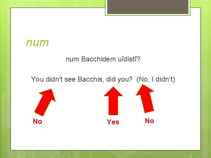 num Bacchidem uīdistī? You didn’t see Bacchis, did you? (No, I didn’t) No Yes