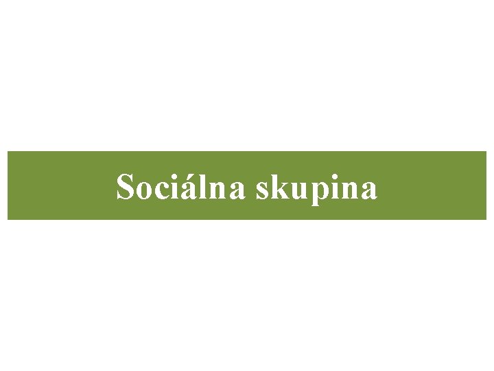 Sociálna skupina 