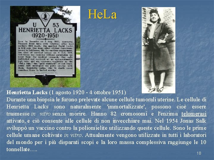 He. La Henrietta Lacks (1 agosto 1920 - 4 ottobre 1951) Durante una biopsia