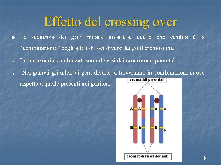 Effetto del crossing over ¯ La sequenza dei geni rimane invariata, quello che cambia