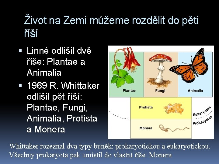 Život na Zemi můžeme rozdělit do pěti říší Linné odlišil dvě říše: Plantae a