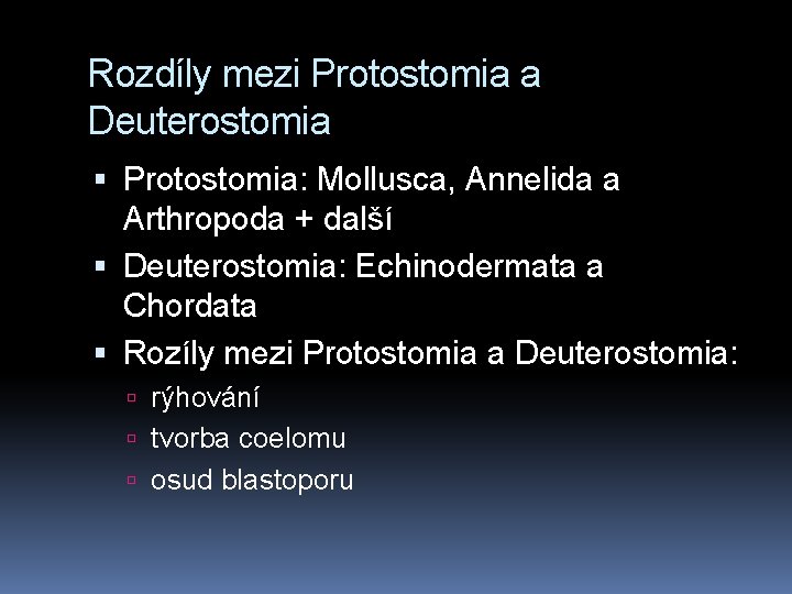 Rozdíly mezi Protostomia a Deuterostomia Protostomia: Mollusca, Annelida a Arthropoda + další Deuterostomia: Echinodermata