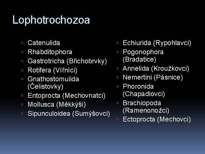 Lophotrochozoa Catenulida Rhabditophora Gastrotricha (Břichobrvky) Rotifera (Vířníci) Gnathostomulida (Čelistovky) Entoprocta (Mechovnatci) Mollusca (Měkkýši) Sipunculoidea