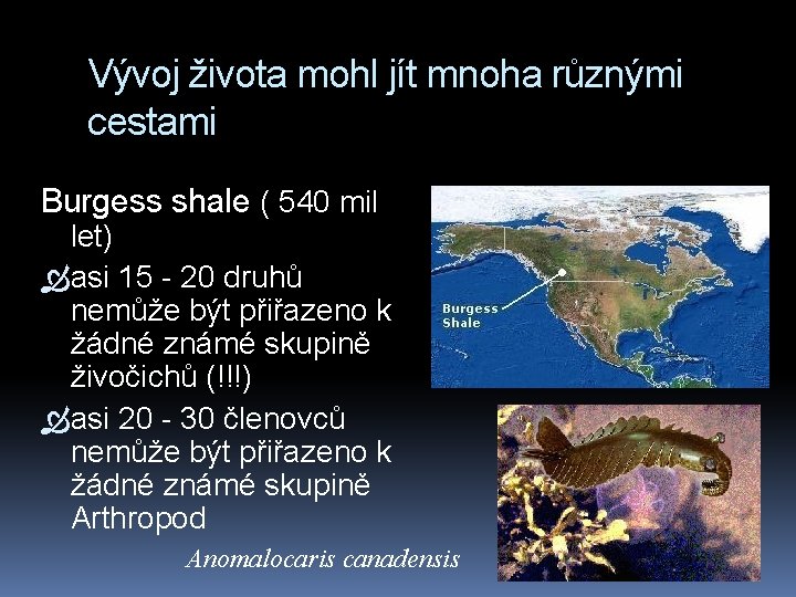 Vývoj života mohl jít mnoha různými cestami Burgess shale ( 540 mil let) asi
