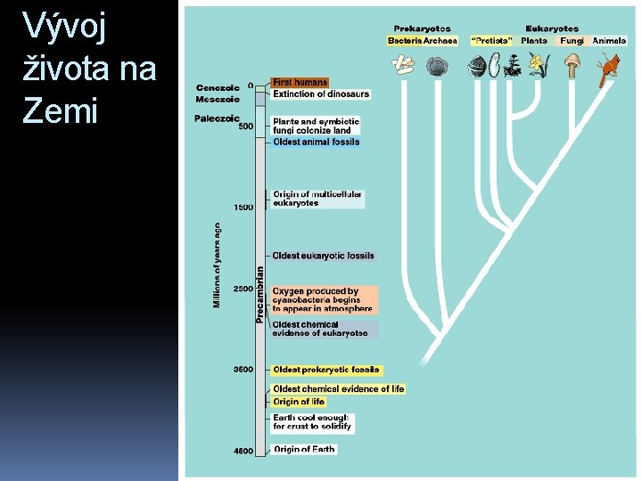 Vývoj života na Zemi 