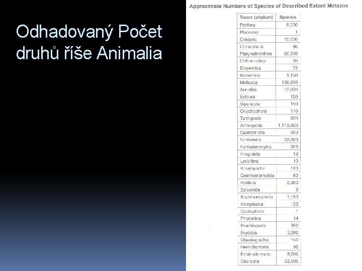 Odhadovaný Počet druhů říše Animalia 
