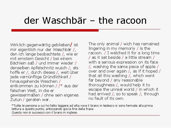 der Waschbär – the racoon Wirklich gegenwärtig geblieben/ ist mir eigentlich nur der Waschbär