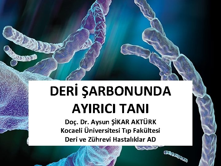 DERİ ŞARBONUNDA AYIRICI TANI Doç. Dr. Aysun ŞİKAR AKTÜRK Kocaeli Üniversitesi Tıp Fakültesi Deri