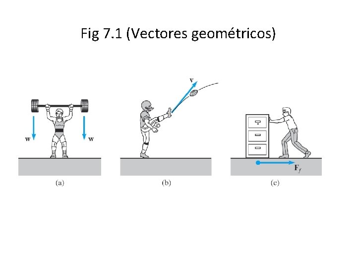 Fig 7. 1 (Vectores geométricos) 