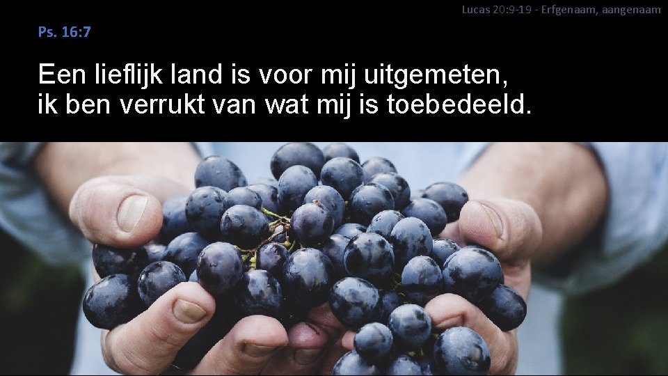 Lucas 20: 9 -19 - Erfgenaam, aangenaam Ps. 16: 7 Een lieflijk land is