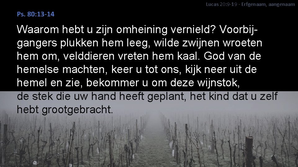 Lucas 20: 9 -19 - Erfgenaam, aangenaam Ps. 80: 13 -14 Waarom hebt u