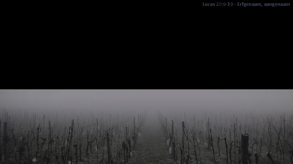 Lucas 20: 9 -19 - Erfgenaam, aangenaam 