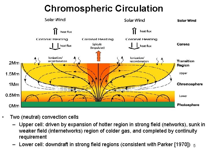 Chromospheric Circulation • Two (neutral) convection cells – Upper cell: driven by expansion of