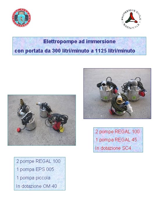 Elettropompe ad immersione con portata da 300 litri/minuto a 1125 litri/minuto 2 pompe REGAL