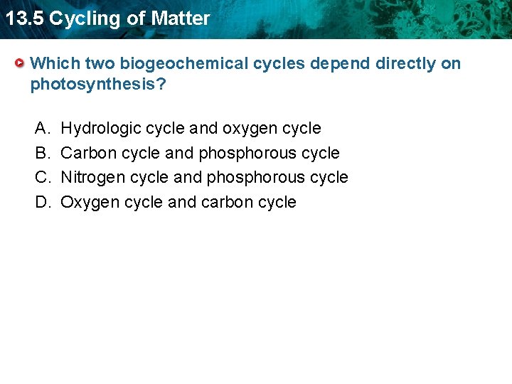 13. 5 Cycling of Matter Which two biogeochemical cycles depend directly on photosynthesis? A.