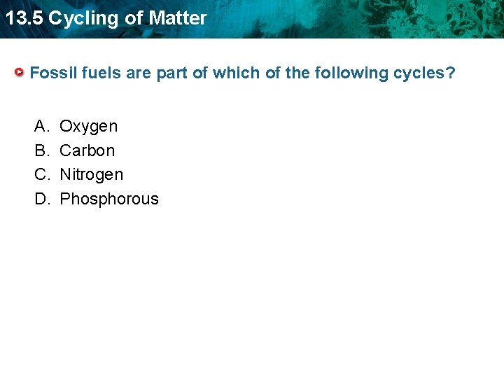 13. 5 Cycling of Matter Fossil fuels are part of which of the following